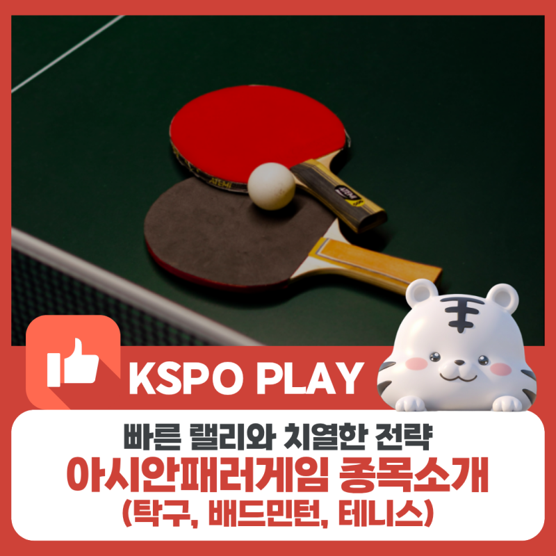 빠른 랠리와 치열한 전략! 아시안패러게임 장애인 라켓 스포츠 3종 탐구