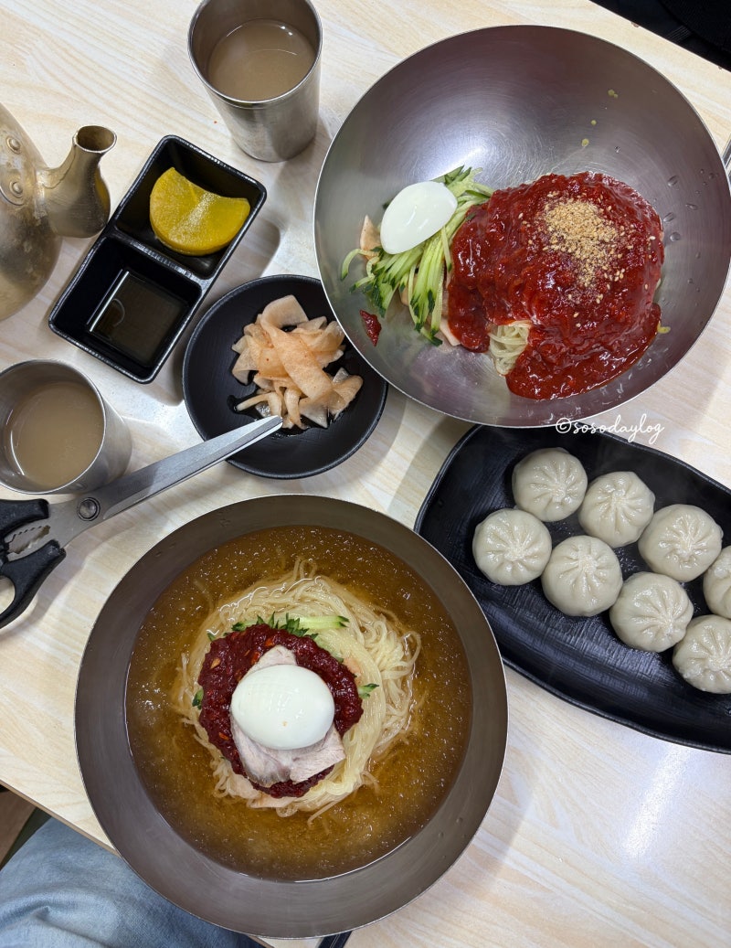 부산밀면맛집 시청근처 생활의달인 소문난가야밀면 물밀면 비빔밀면 만두 후기