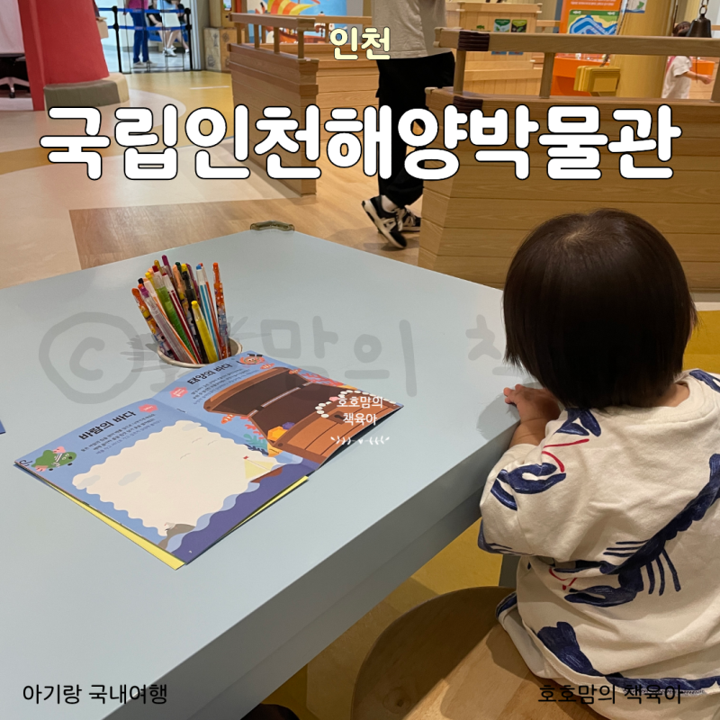 인천 해양박물관 아기랑, 18개월 호동이의 후기와 예약·주차 팁