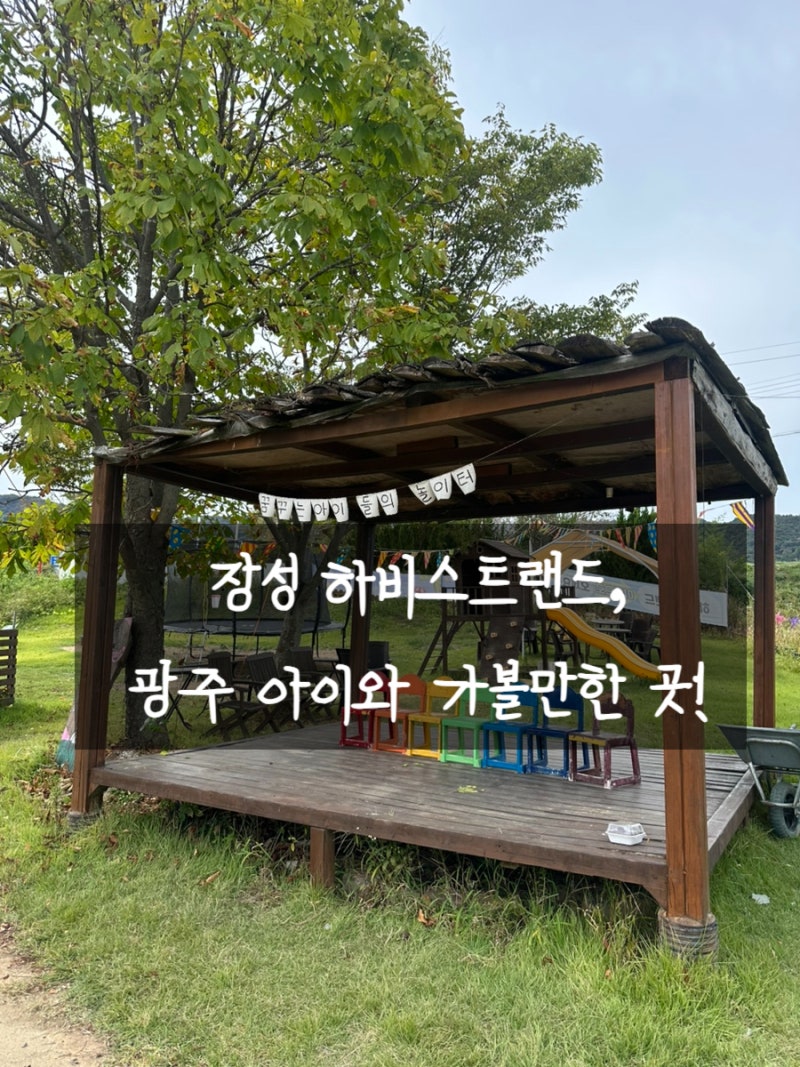 하비스트랜드 10월 꼬마농부 체험, 장성아이와가볼만한곳으로 다녀왔어요