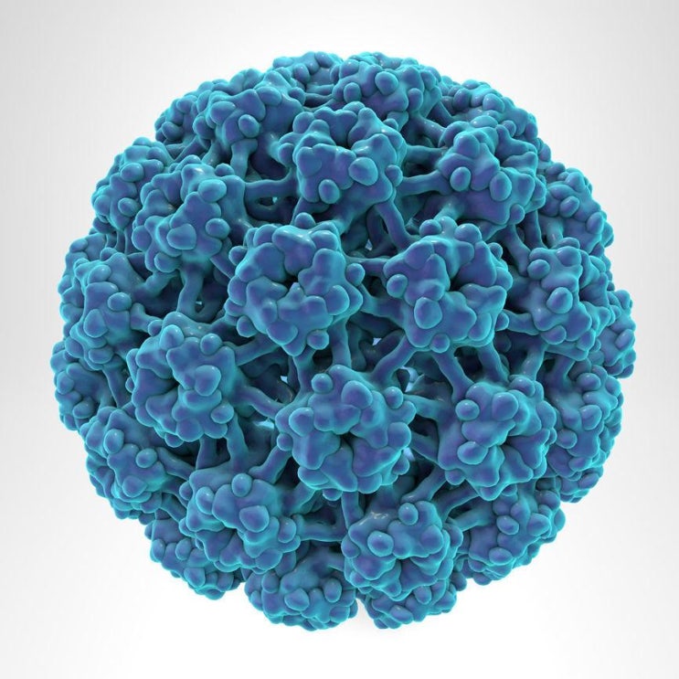 <b>HPV</b> 인유두종 <b>바이러스</b>란? 증상부터 검사·치료·예방접종까지 총정....