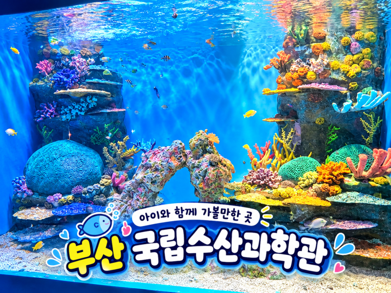 부산 기장 / 국립수산과학관 : 부산 아이랑 가기 좋은 무료로 즐기는 아쿠아리움과 주차정보