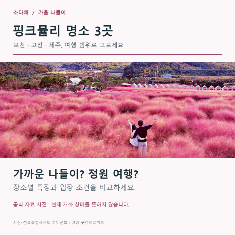 핑크뮬리 명소 3곳, 포천·고창·제주에서 어디로 갈까?
