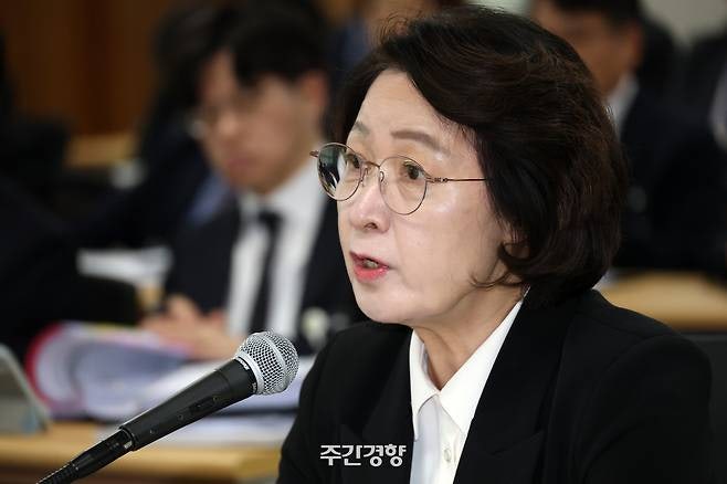 추미애 “경기도에 공항 없다는 건 말이 안 돼”…경기국제공항 추진, 대선용 치적 쌓기 논....