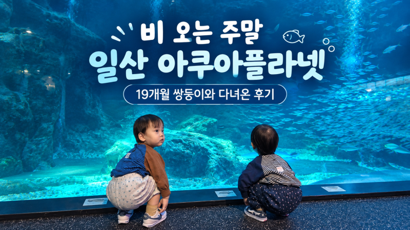 비 오는 주말, 19개월 쌍둥이와 일산 아쿠아플라넷 후기(입장료·주차·관람 정보)