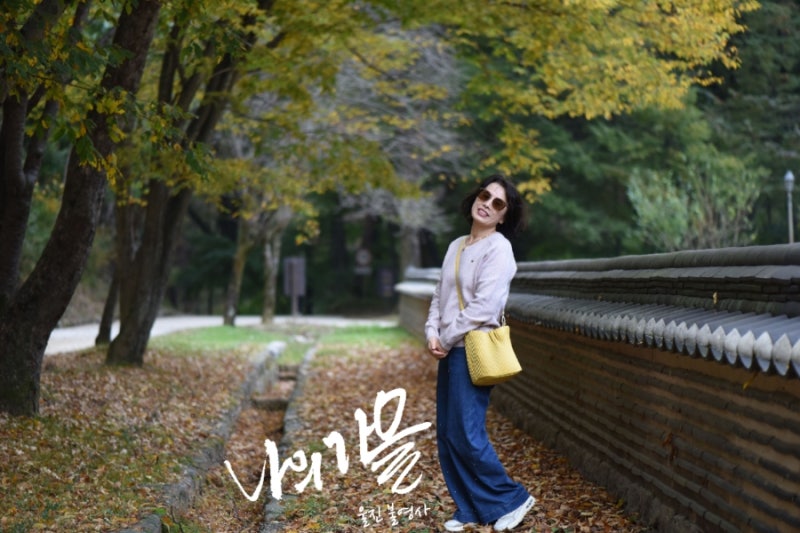 가을 소풍/봉화 태백산 각화사/울진 불영사/울진항 /울진 가볼 만한 곳/울진여행/가을 나들이....