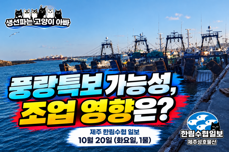 제주 한림수협 10월 20일 (화요일, 1물) - 갈치 강보합세, 해상 기상 악화에 주목