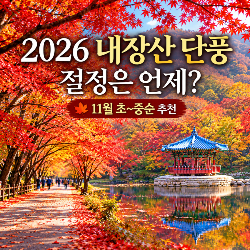 2026 내장산 단풍 절정은 언제? 11월 정읍 가을여행 단풍터널·우화정·주차장 총정리