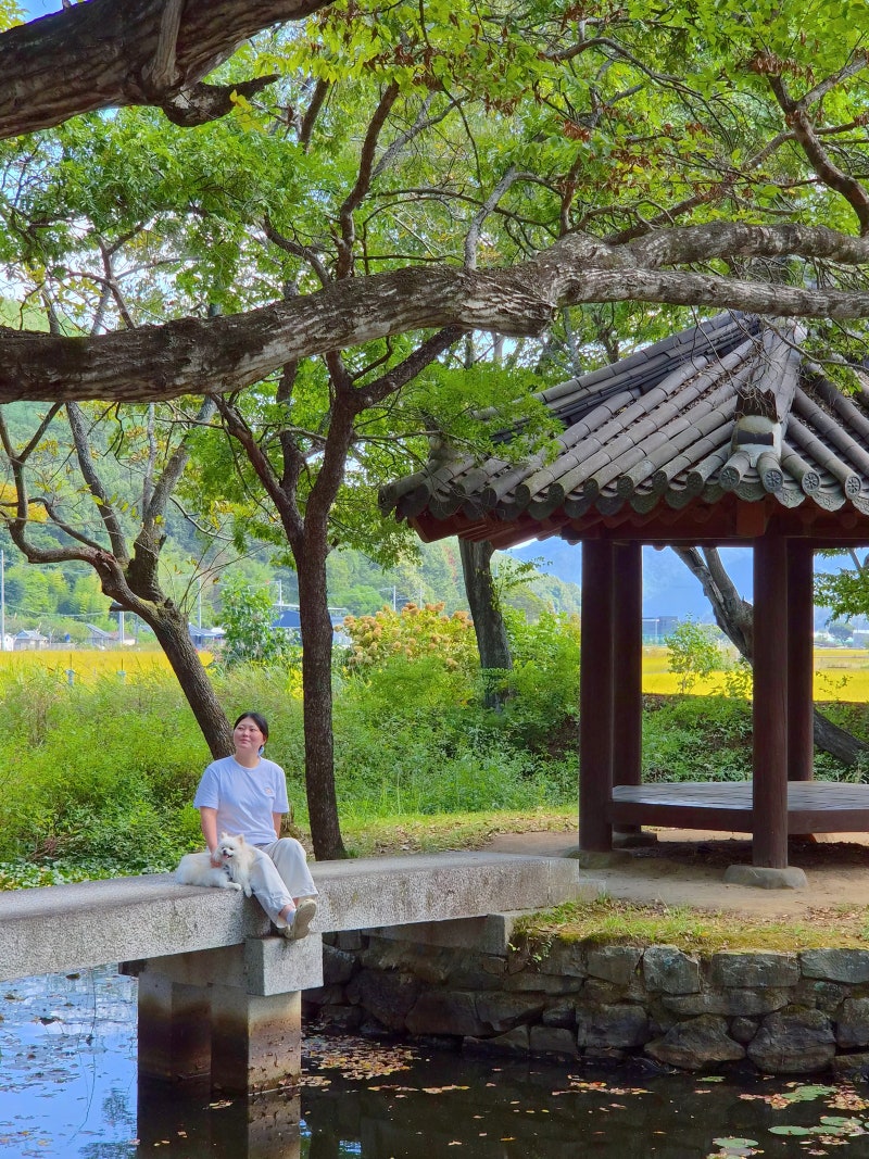 경남 고성 가볼만한곳 장산숲 | 구르미 그린 달빛·녹두전 촬영지, 주차·화장실까지 정리