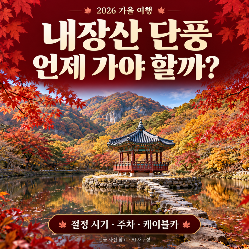 2026 내장산 단풍 절정 언제? 우화정·단풍터널 추천 코스부터 케이블카·주차까지