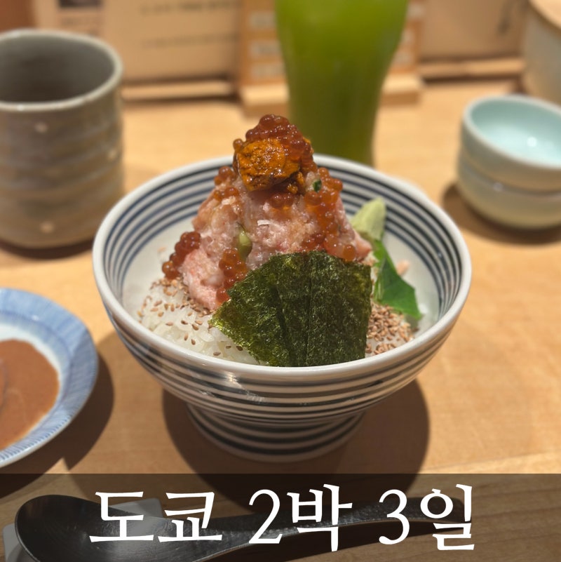엄마의 가출, 도쿄 2박 3일 기록