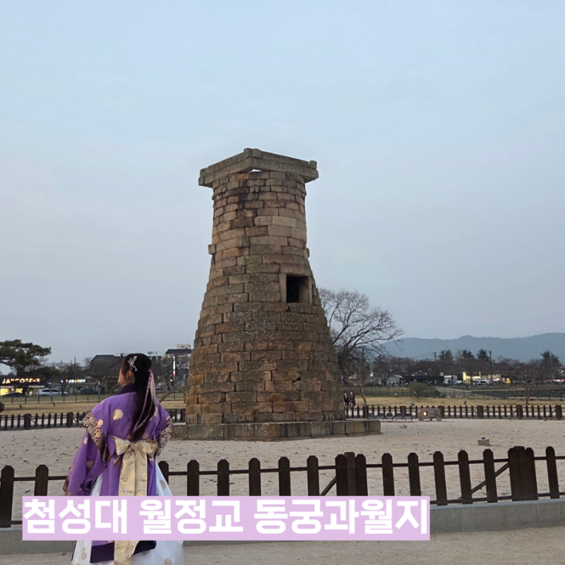 반나절이면 충분해? 10월 경주 가볼만한곳 황리단길 근처 볼거리 BEST3