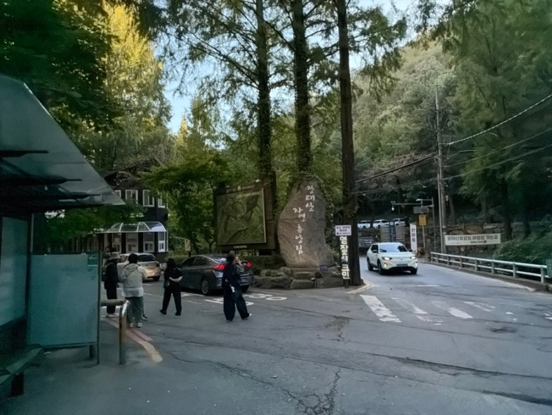 대전장태산자연휴양림