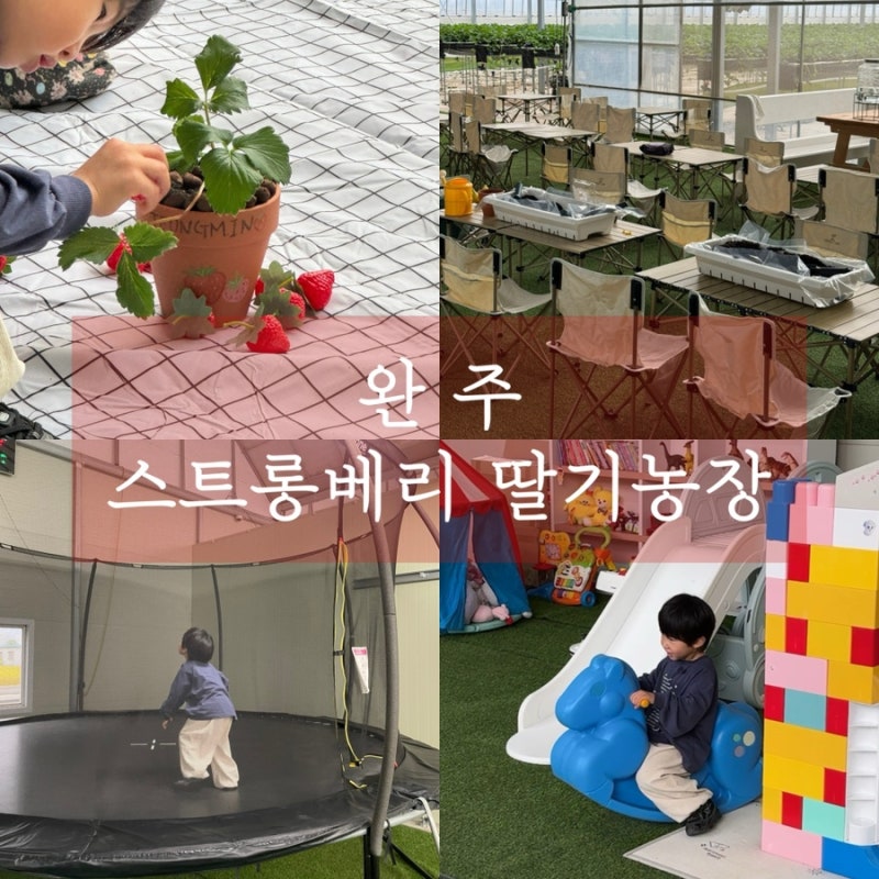 [전주 근교 아기랑 가볼만한 곳]에코시티랑 가까운 스트롱베리 딸기농장