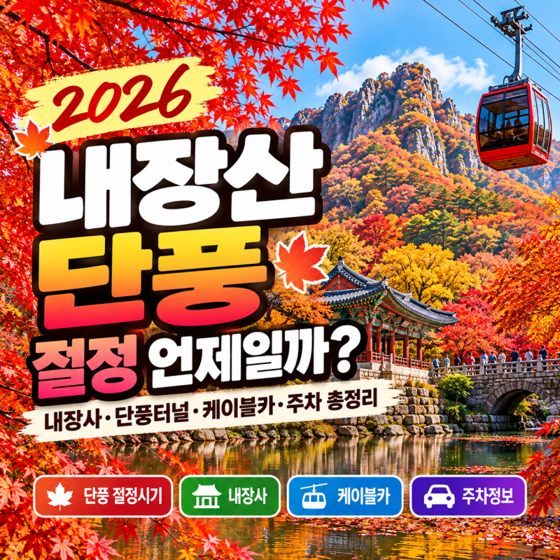 2026 내장산 단풍 절정 언제일까? 내장사·단풍터널 케이블카 날씨 주차 총정리