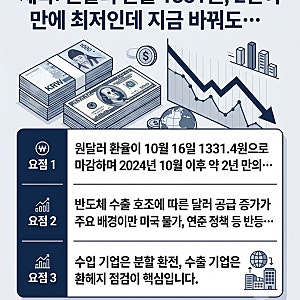 원달러 환율 1331원, 2년여 만에 최저인데 지금 바꿔도 될까? 기업 대표가 알아야 할 대응 전략