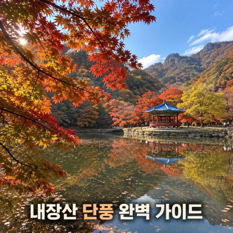 정읍 내장산 단풍 절정 시기 및 우화정 포토존 · 주차 교통 꿀팁 총정리