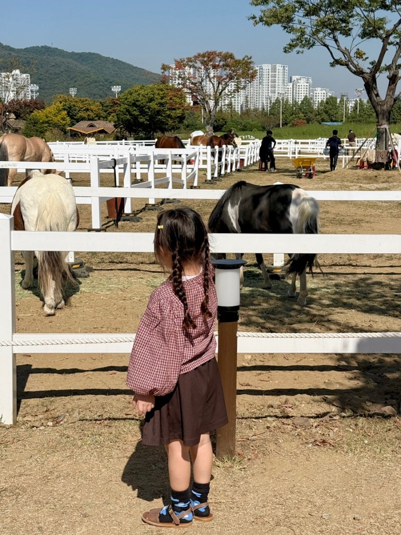 과천 아이와 가볼만한곳｜렛츠런파크 서울 가을축제 포니랜드부터 경마장까지 / 6살 아이와