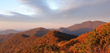 경상도 단풍 명소 절정 시기 산 절 추천 어디가 좋을까?