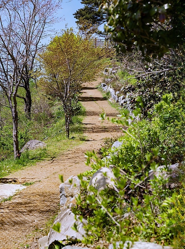 경남 사진명소를 검색하다 알게 된 하동케이블카, 소원포토존과 트릭아트 포토존에서 남긴 ....