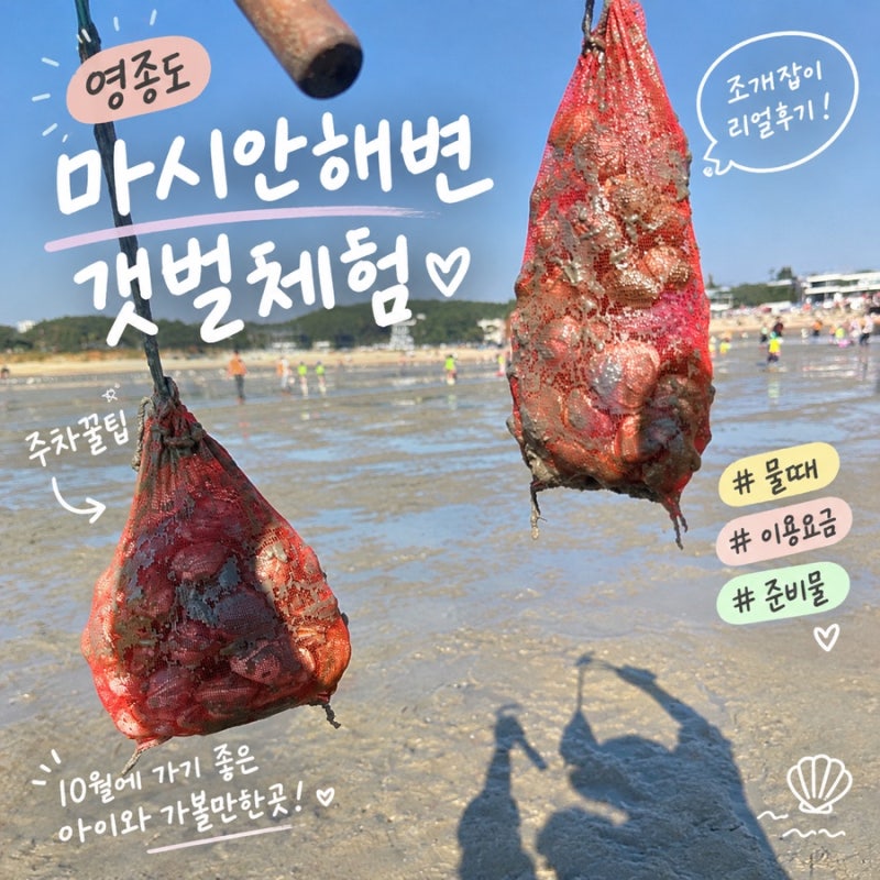 영종도 마시안해변 갯벌체험 후기! 10월 조개잡이 물때부터 주차 꿀팁, 준비물까지