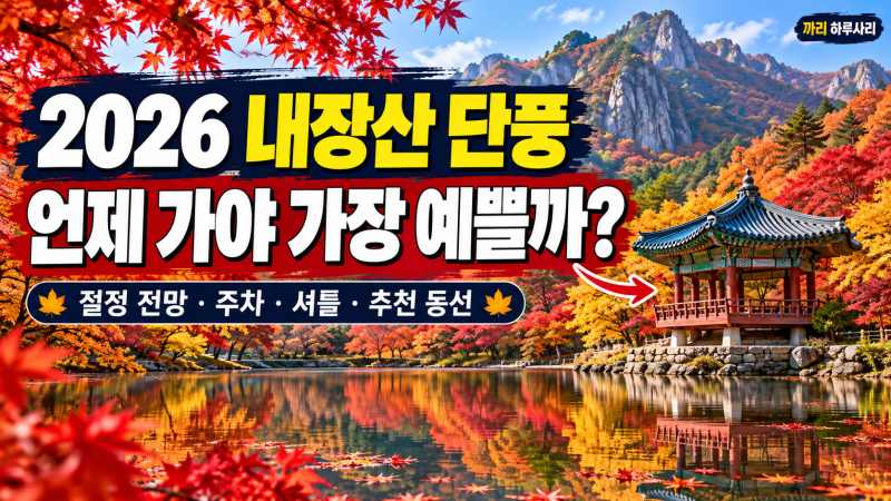 내장산 단풍 절정 시기 2026, 언제 가야 예쁠까? 주차·셔틀·우화정 동선까지