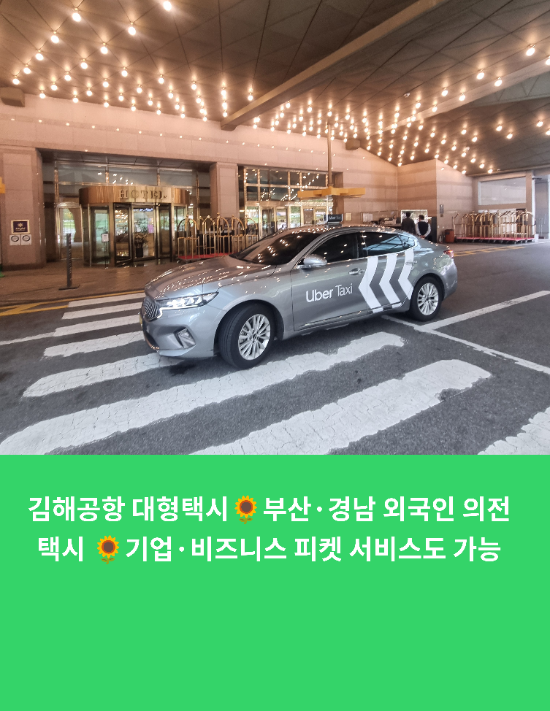김해공항 대형택시부산·경남 외국인 의전 택시 기업·비즈니스 피켓 서비스도 가능