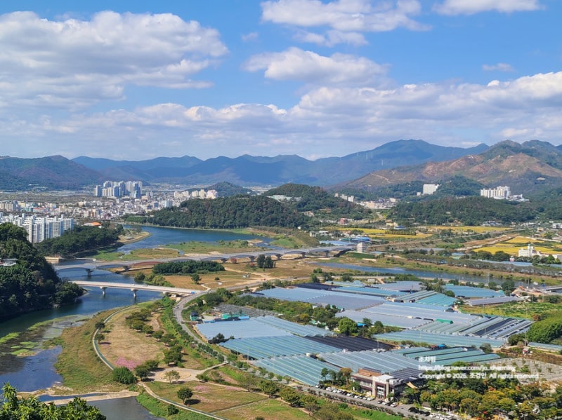 대구 근교 밀양 가볼만한곳 용두산달팽이전망대 주차·애견 동반·시간 총정리