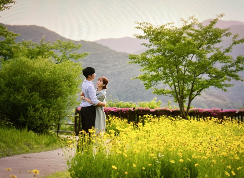 가을밤에 보기 좋은 멜로드라마 '봄밤'