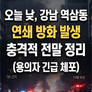 강남 역삼동 빌딩 연쇄 방화 사건 정리 (신명빌딩·한양빌딩 피해 및 용의자 체포)