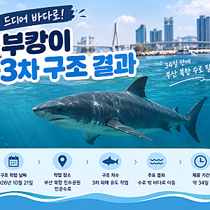 부캉이 3차 구조 결과｜34일 만에 부산 북항 수로 탈출, 드디어 바다로!