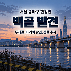 서울 송파구 한강변서 백골 발견, 두개골·다리뼈 발견, 경찰 수사 착수