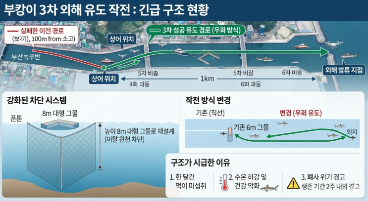 부산 북항 <b>상어 부캉이</b> 소식: 3차 외해 유도 작전 개시, 폐사 위기 속....