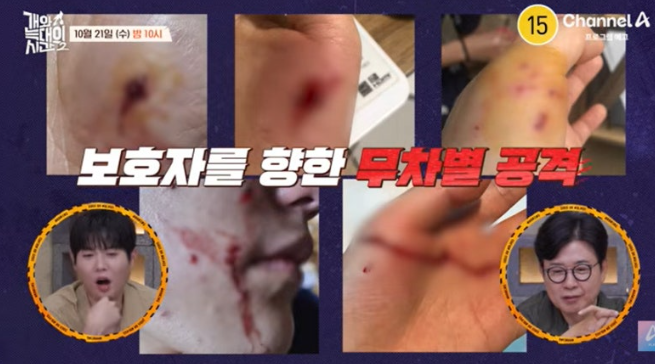 미니 푸들 땅콩이 시장에서는 인기견, 집에서는 입질견 훈련사는 연....