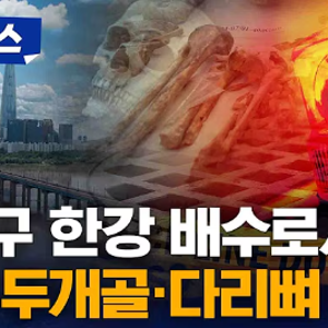 송파 한강변서 백골 발견…“두개골과 다리뼈 두 점”