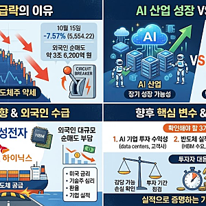 국내 증시 급락 이유는? AI 투자 우려에 삼성전자·SK하이닉스 흔들리는 이유