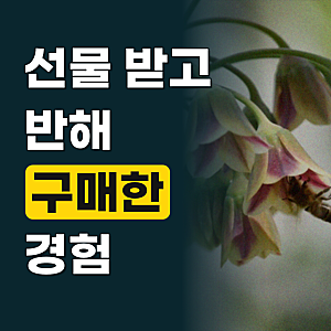 코르셋 여성 보정 속옷 올인원 여성 바디쉐이퍼 레이스 거들