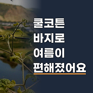 [썸쿨진No.1] 핀턱 와이드 쿨코튼 데님 팬츠_264417