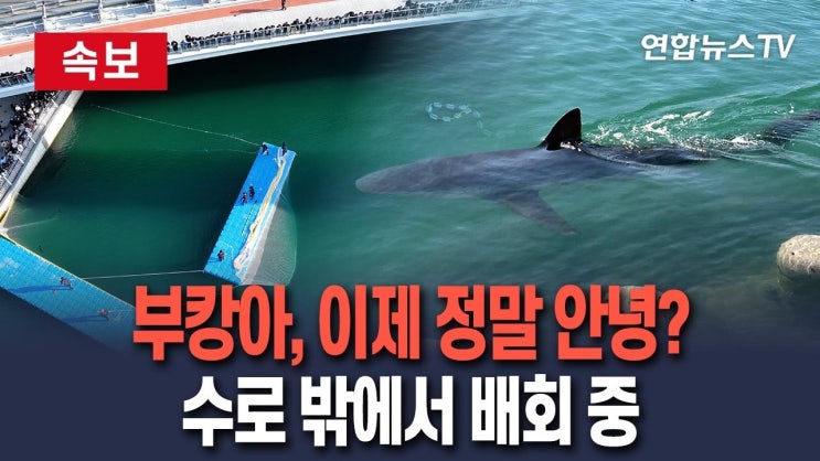 유튜브 News 2026년 10월 21일-4