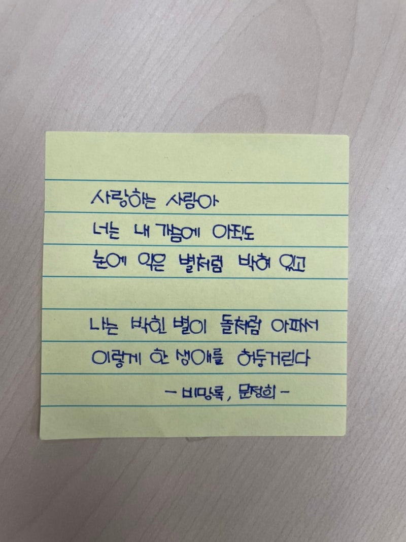 [오늘의 시, 오늘의 필사, 생각거리]비망록, 문정희/남을 사랑하는 사람이 되고 싶었는데 남....