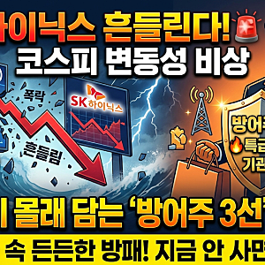 코스피 변동성 장세 경고, 삼성전자·SK하이닉스 흔들릴 때 기관이 담는 방어주 3선