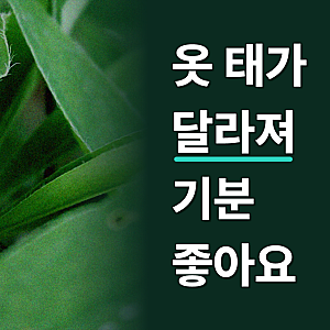 여성런닝 끈나시 민소매 반팔 여자나시 면스판 텐셀 모달 인견 메리야스 캐미솔