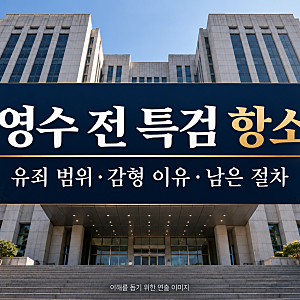 박영수 전 특검 대장동 항소심 징역 6년, 감형 이유와 남은 재판 절차