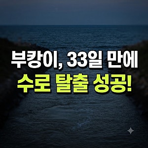 '부캉이' 수로 탈출 성공, 33일 만에 바다로 나간 사연은?