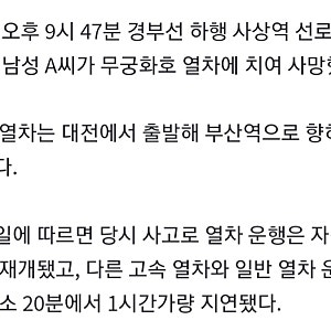 20일 부산서 70대 남성. 무궁화호 열차에 치여 사망