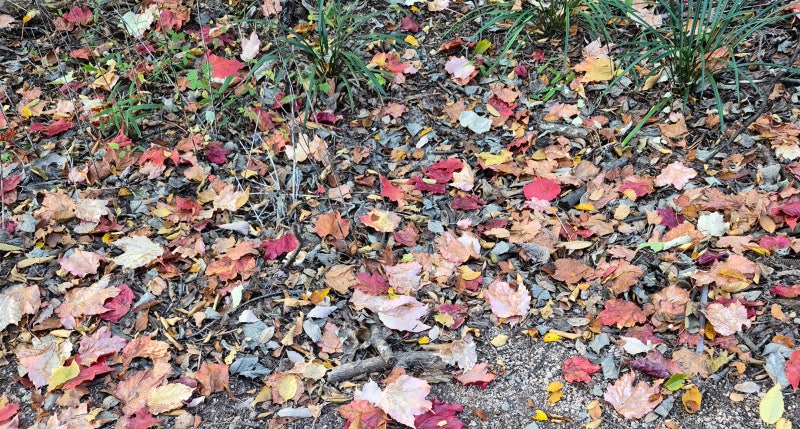 문해력이 높아야 읽을 수 있는 글 : 네이버 블로그