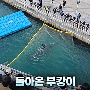 부캉이 재진입 차단막 넘어 다시 수로로 들어와