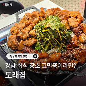 강남역 맛집 어디가 좋을까? 도래집 강남점 도래창과 양념막창 맛집
