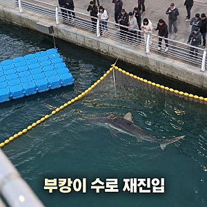 부캉이 재진입 차단막 뚫고 수로로 돌아왔다