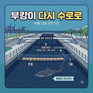 부캉이 다시 수로로 진입, 지금 어디에 있을까? 재진입 경위와 현재 위치 정리 (10월 22일 기준....